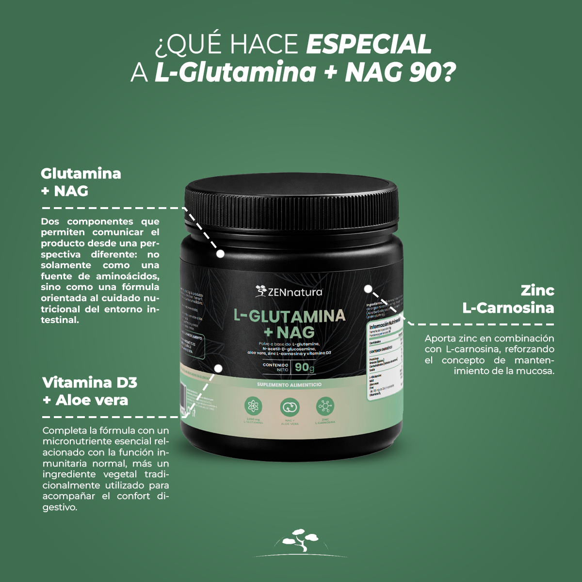 L-Glutamina + NAG | Polvo | 90 g