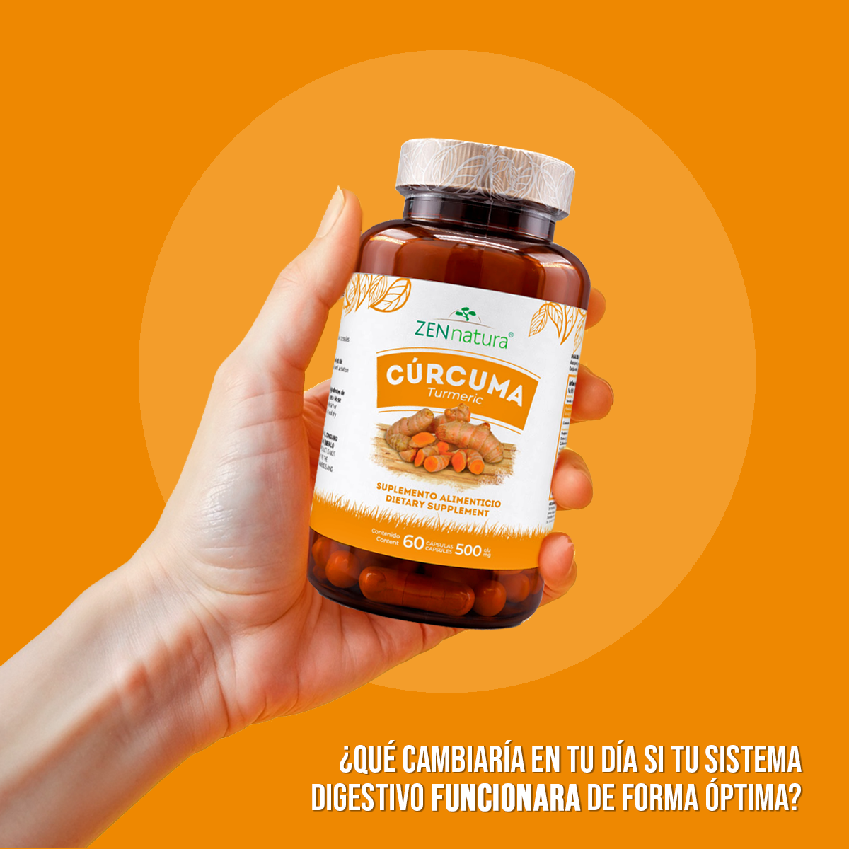 Cúrcuma | 60 Cápsulas | 500 mg