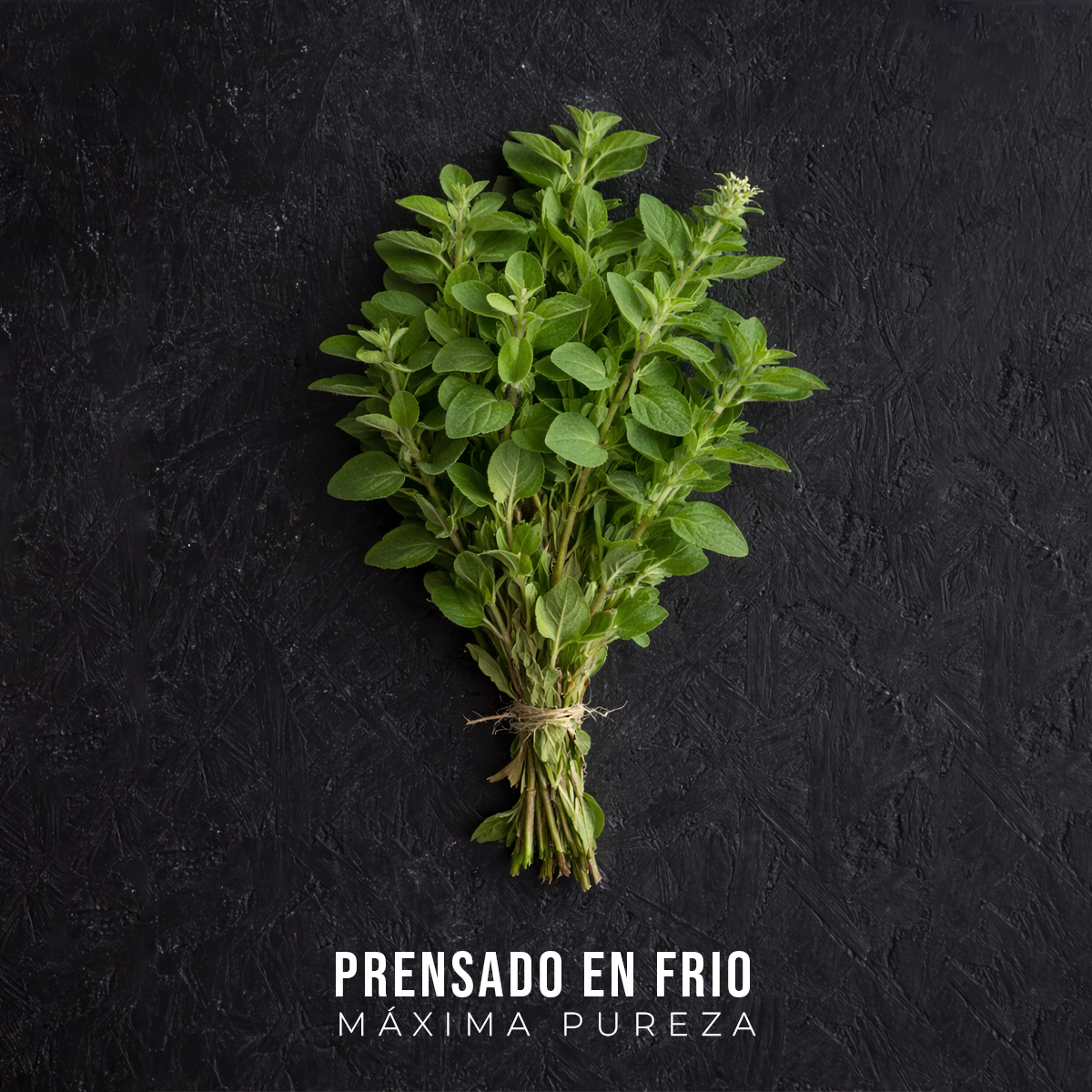 Aceite de Orégano Orgánico | 20 ml (70% carvacrol)