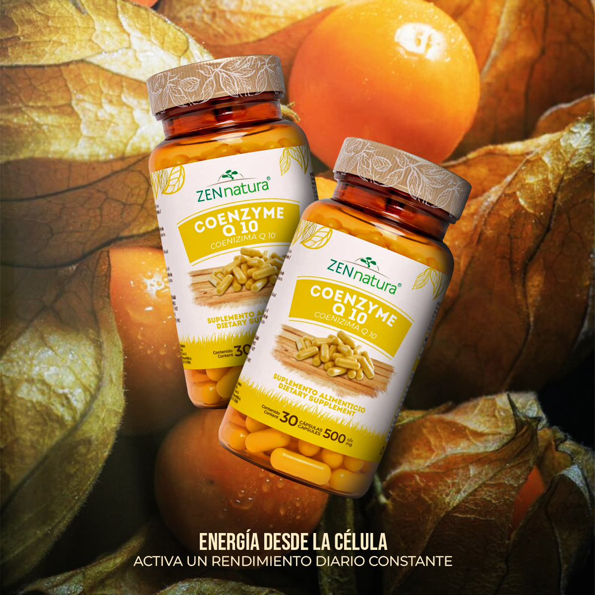 Coenzima Q10 | 30 Cápsulas | 500 mg