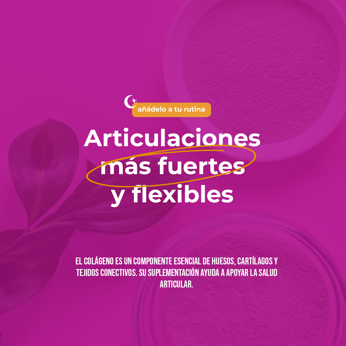 Colágeno Hidrolizado con Ácido Hialurónico | Péptidos en Polvo | 1 kg