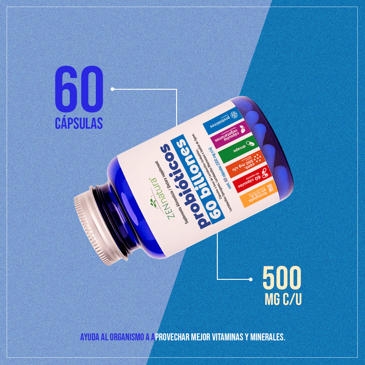 Probióticos 60 Billones | 60 caps DRcaps™ | 500 mg