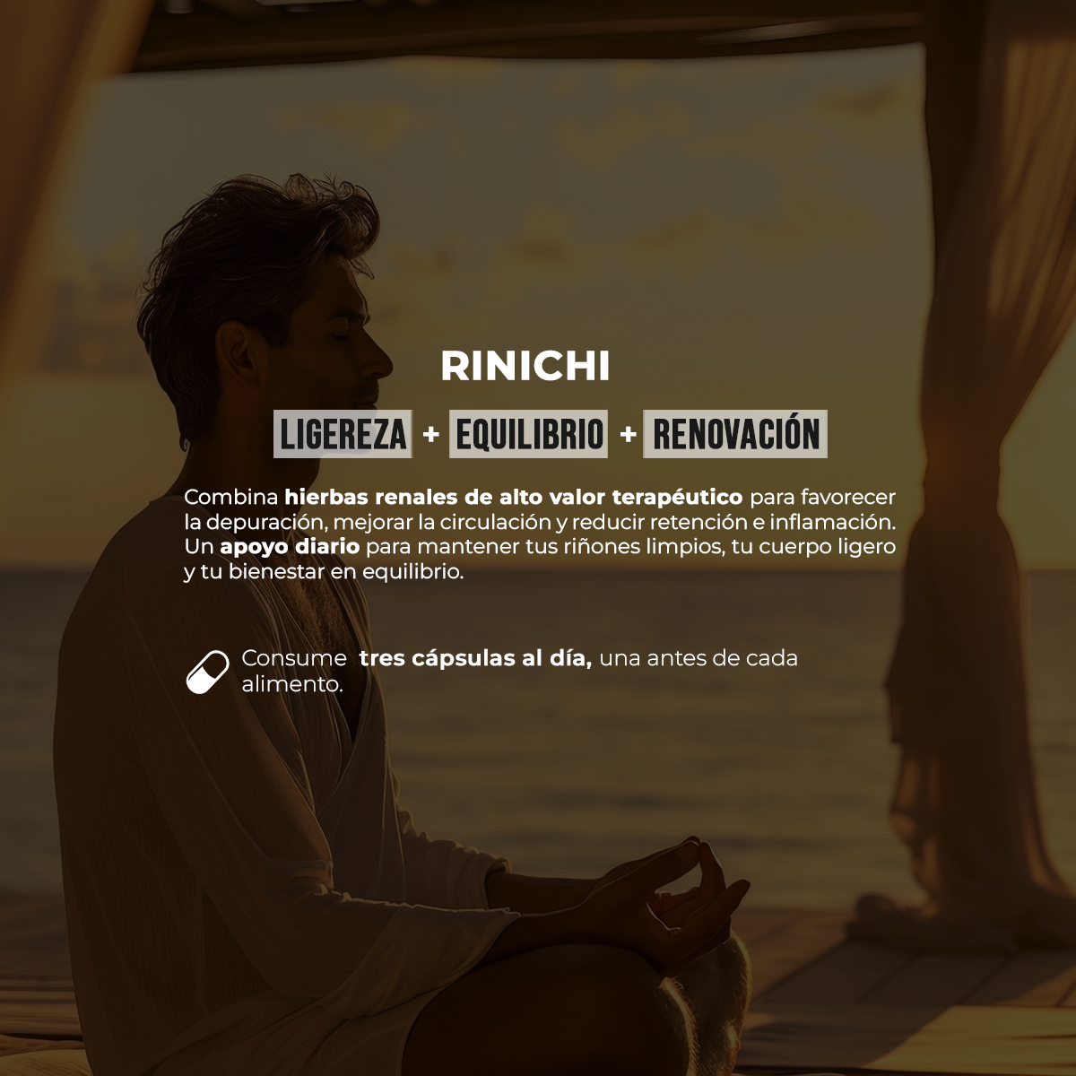 Rinichi 500 mg | Palo Azul, Cola de Caballo, Zinc y Selenio | 90 caps | 500 mg