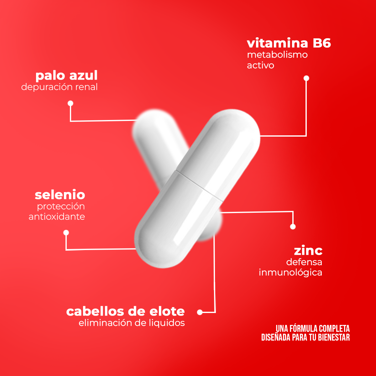 Rinichi 500 mg | Palo Azul, Cola de Caballo, Zinc y Selenio | 90 caps | 500 mg