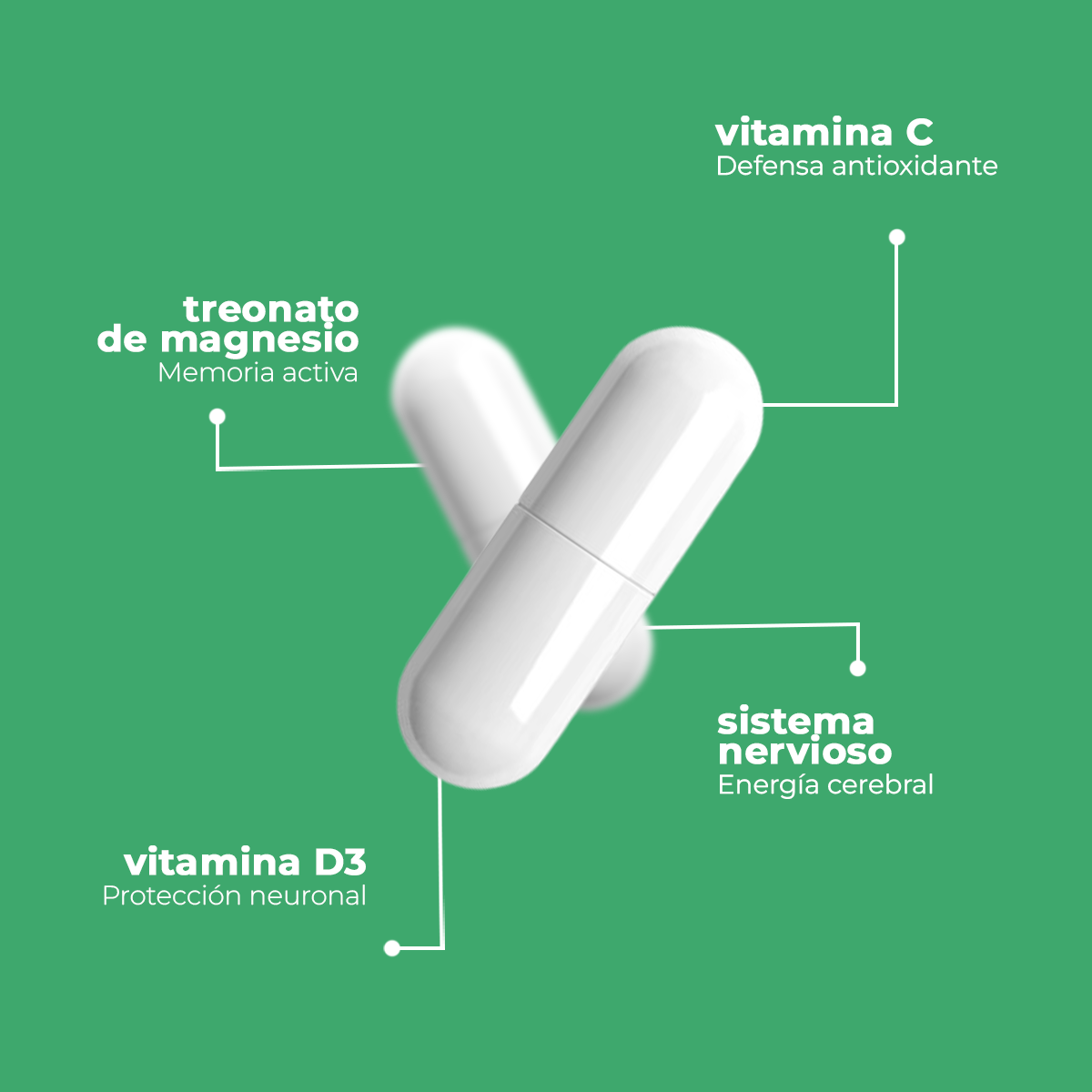 Treonato de Magnesio | 60 Cápsulas | 288 mg